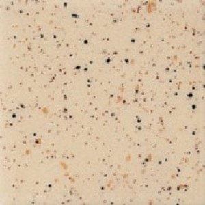 SP-254 Speckled Vanilla Dip